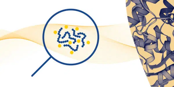 BioSPE® Bead Removal & Desalting